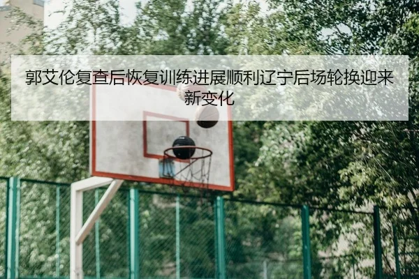 郭艾伦复查后恢复训练进展顺利辽宁后场轮换迎来新变化 | kaiyun